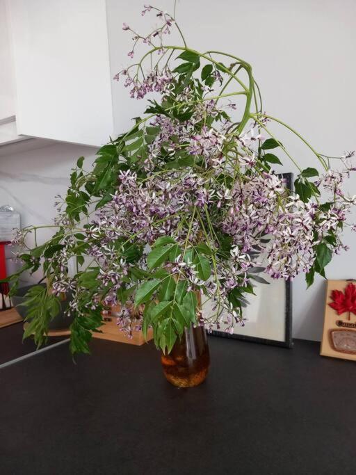 Gesyl Apartment Toló Kültér fotó